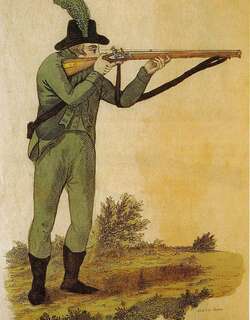 刺鹩 / Rifleman / Acanthisitta chloris