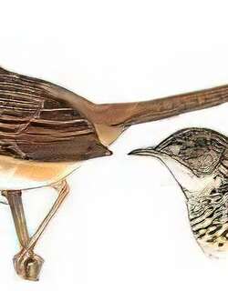 山鹪莺 / Swinhoe’s Prinia / Prinia striata