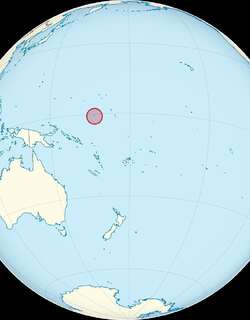 瑙鲁苇莺 / Nauru Reed Warbler / Acrocephalus rehsei