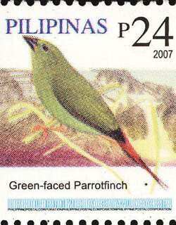 绿脸鹦雀 / Green-faced Parrotfinch / Erythrura viridifacies