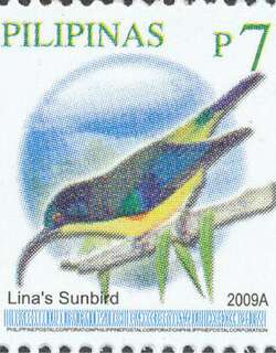 林氏太阳鸟 / Lina’s Sunbird / Aethopyga linaraborae