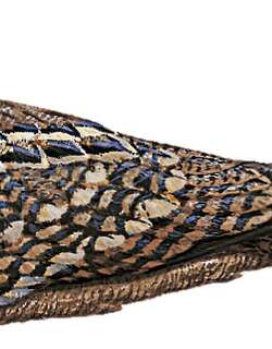 黑肩夜鹰 / Black-shouldered Nightjar / Caprimulgus nigriscapularis