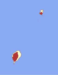 圣多美绣眼鸟 / Sao Tome White-eye / Zosterops feae