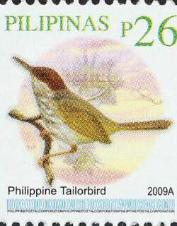菲律宾缝叶莺 / Philippine Tailorbird / Orthotomus castaneiceps