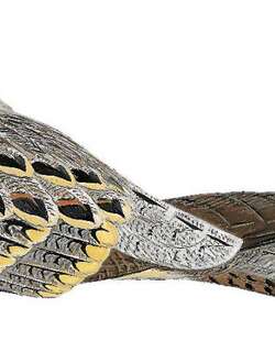 苏拉夜鹰 / Sulawesi Nightjar / Caprimulgus celebensis