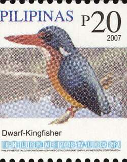 迪莫菲克三趾翠鸟 / Dimorphic Dwarf Kingfisher / Ceyx margarethae