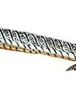 白腹锦鸡 / Lady Amherst’s Pheasant / Chrysolophus amherstiae