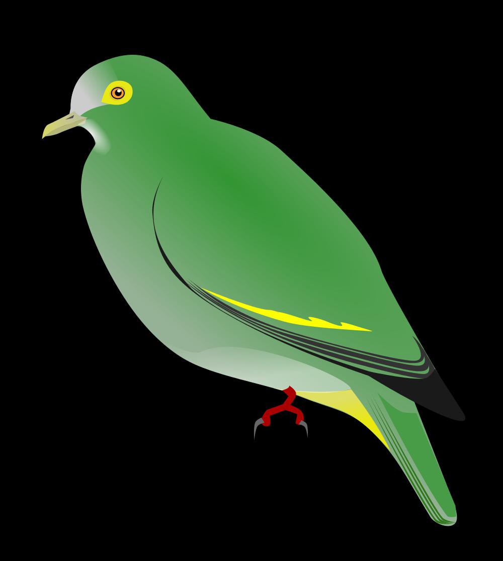 里氏果鸠 / Negros Fruit Dove / Ptilinopus arcanus