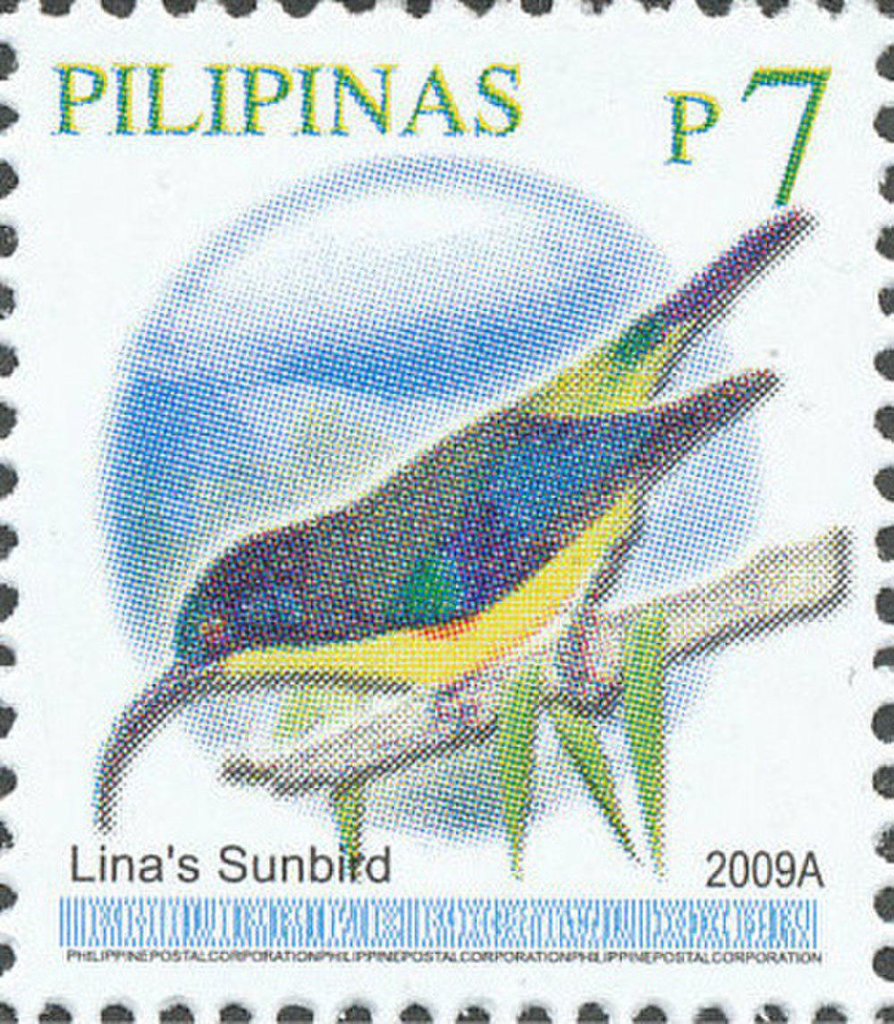 林氏太阳鸟 / Lina\'s Sunbird / Aethopyga linaraborae