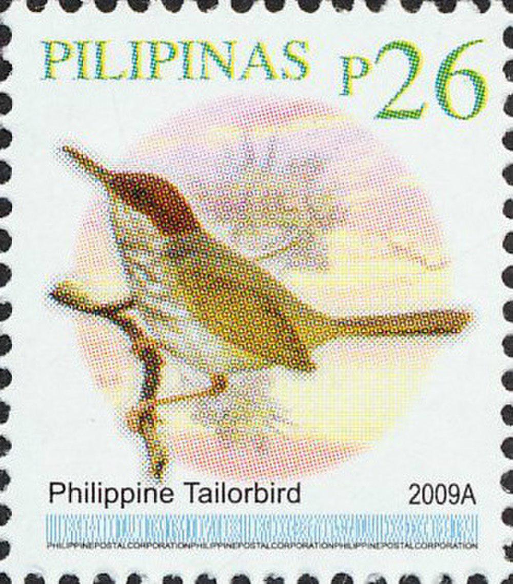 菲律宾缝叶莺 / Philippine Tailorbird / Orthotomus castaneiceps