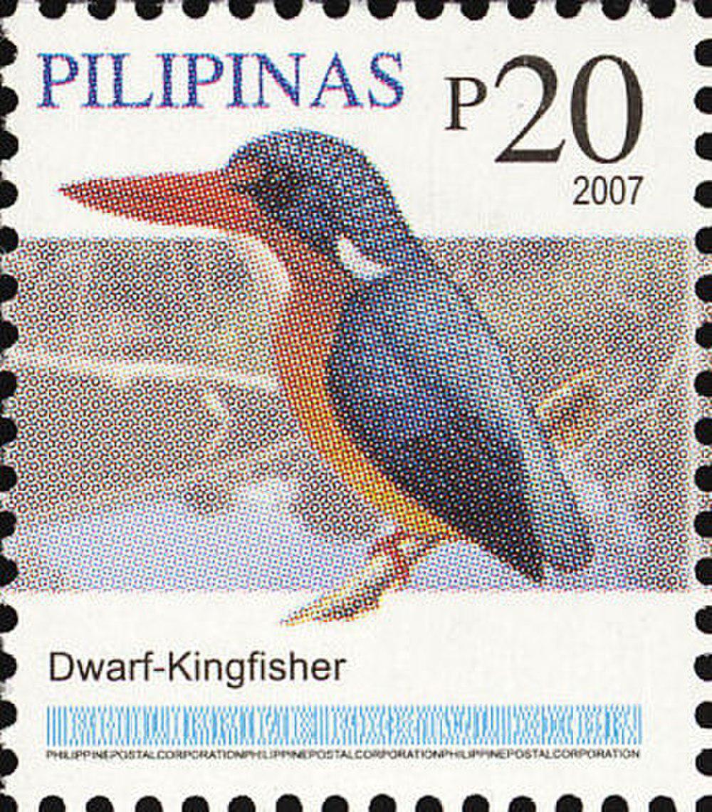 迪莫菲克三趾翠鸟 / Dimorphic Dwarf Kingfisher / Ceyx margarethae